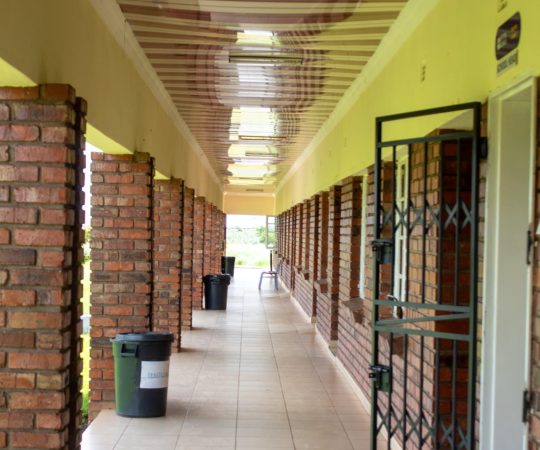 WhatsApp Image 2025-06-13 at 07.03.16