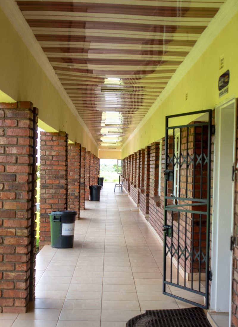 WhatsApp Image 2025-06-13 at 07.03.16