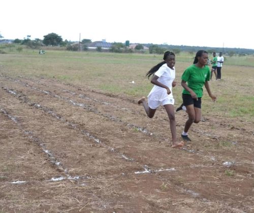 WhatsApp Image 2025-06-19 at 09.29.58(1)